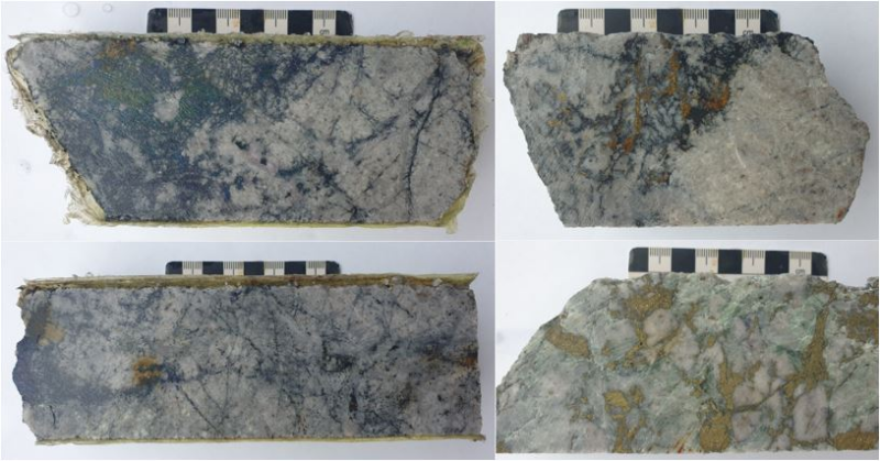 2118028eeefba8208a823352fca14c7a